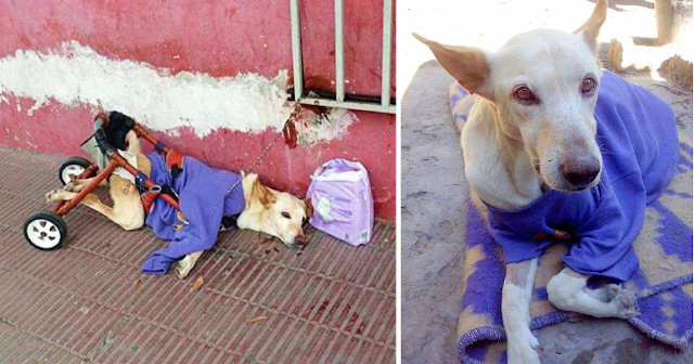 From Abandonment to Love: Lunetta’s Inspiring Journey