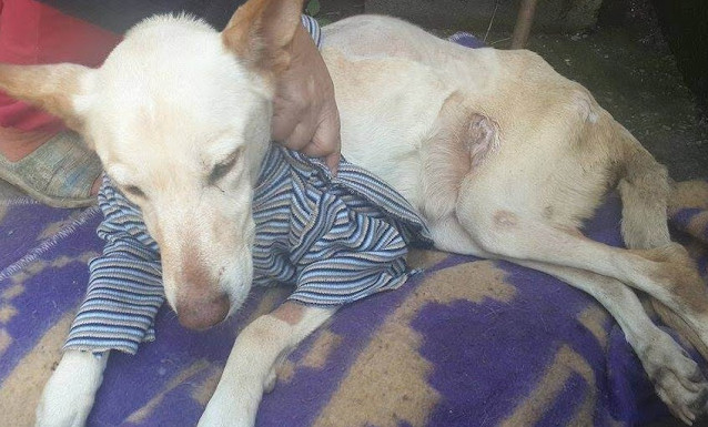 From Abandonment to Love: Lunetta’s Inspiring Journey
